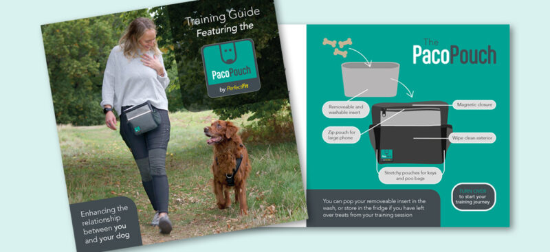 PP_launch_bookletdesign
